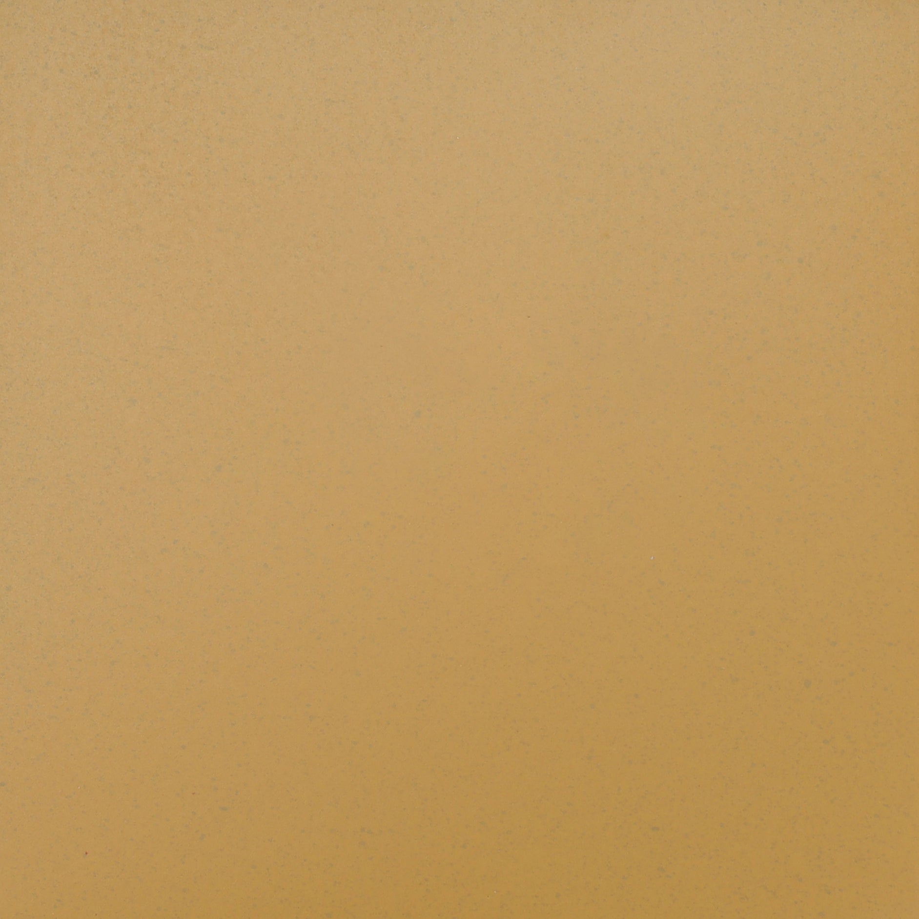 AY - Speckled Yellow